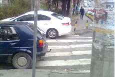 Stop za pešake !? (41) Stop za pešake !? (41)